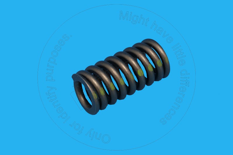 100-3878 Spring for BLUMAQ