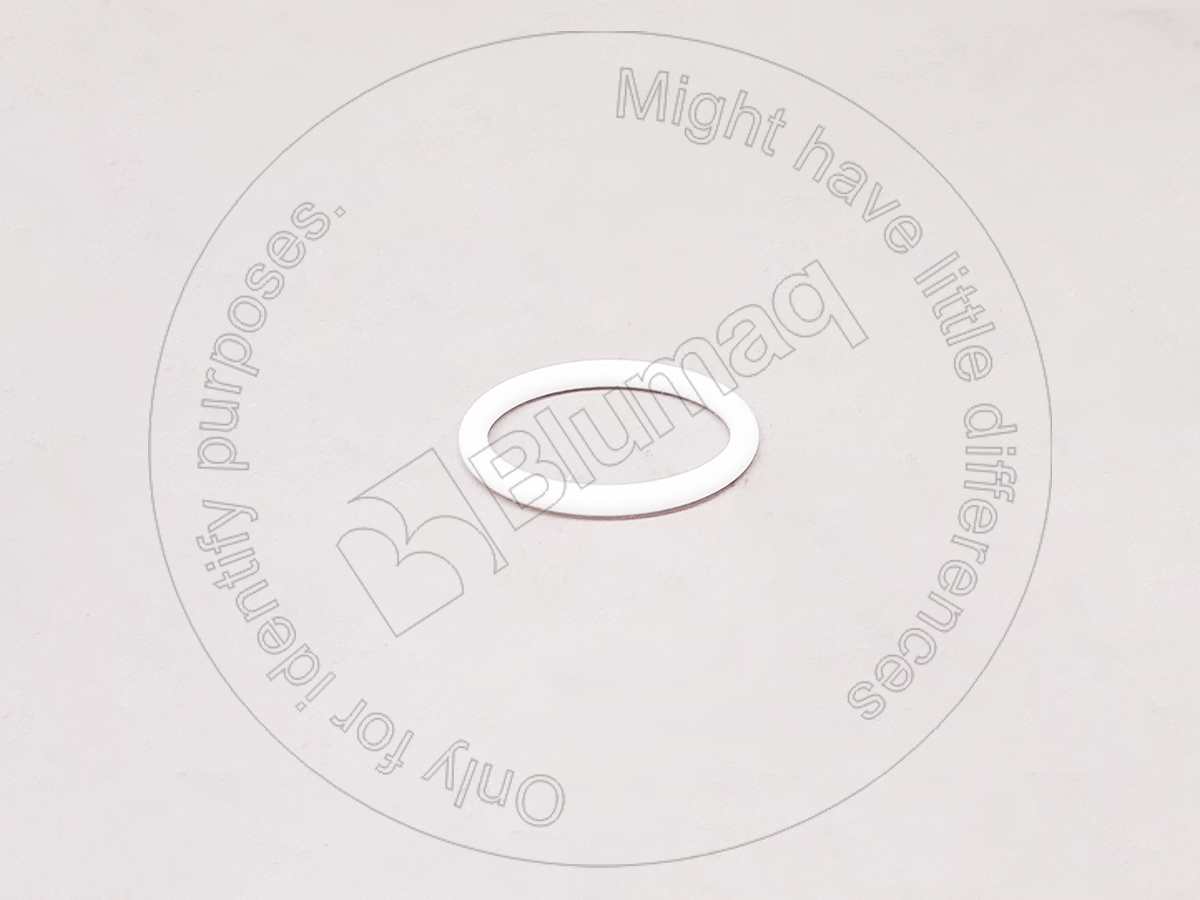 900.01730 Seal O-ring for BLUMAQ