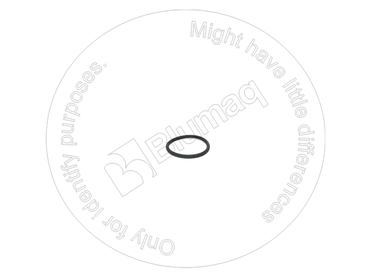 CS2385333 Seal O-ring