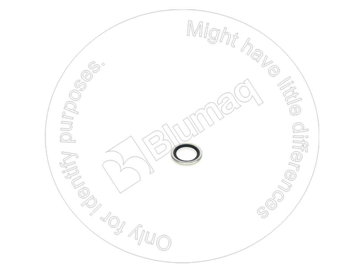 900.01964 Seal for BLUMAQ