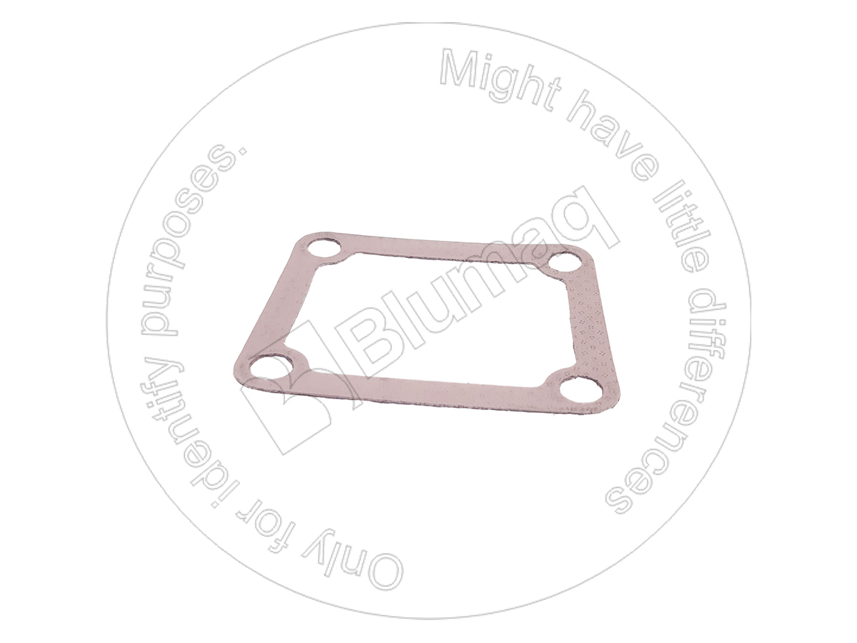 6251-11-4820 Gasket for BLUMAQ