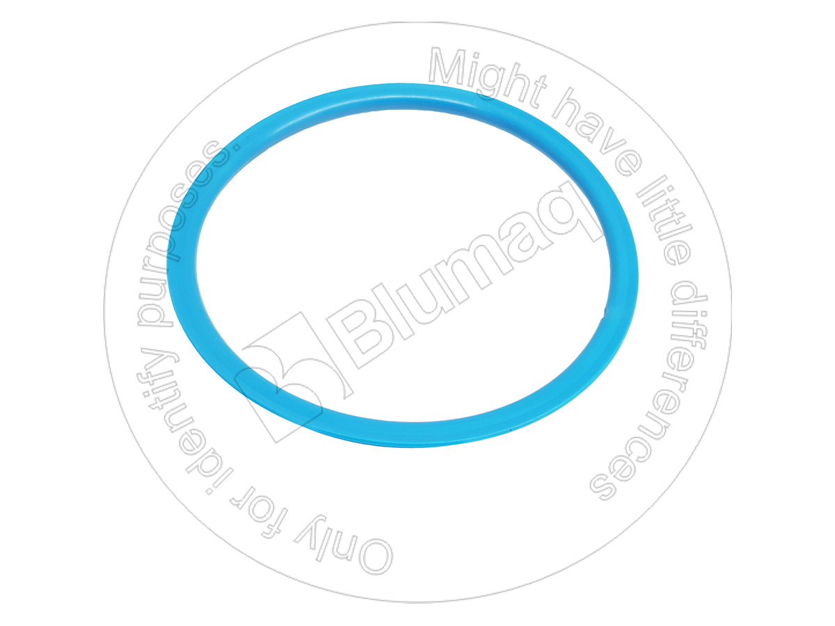 900.01758 Seal for BLUMAQ