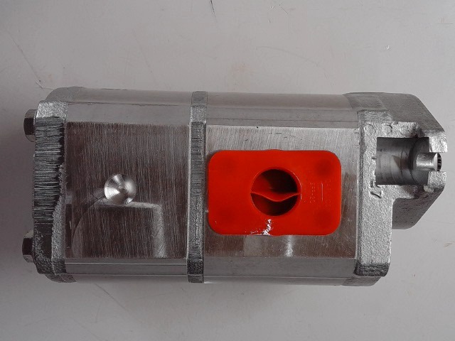 170-34462 Pump for GEHL MANITOU