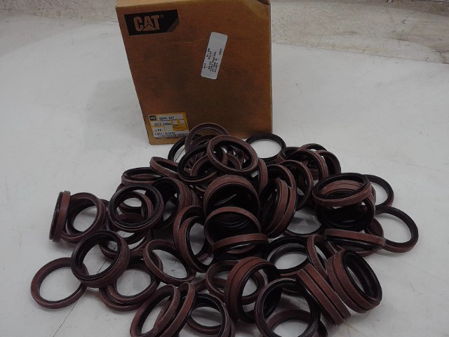 251-1660 Seal Set