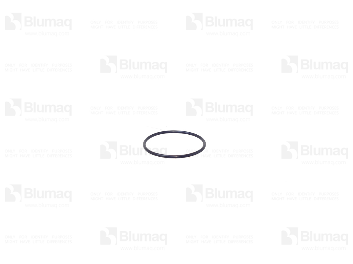 5H-8848 Seal O-ring for BLUMAQ