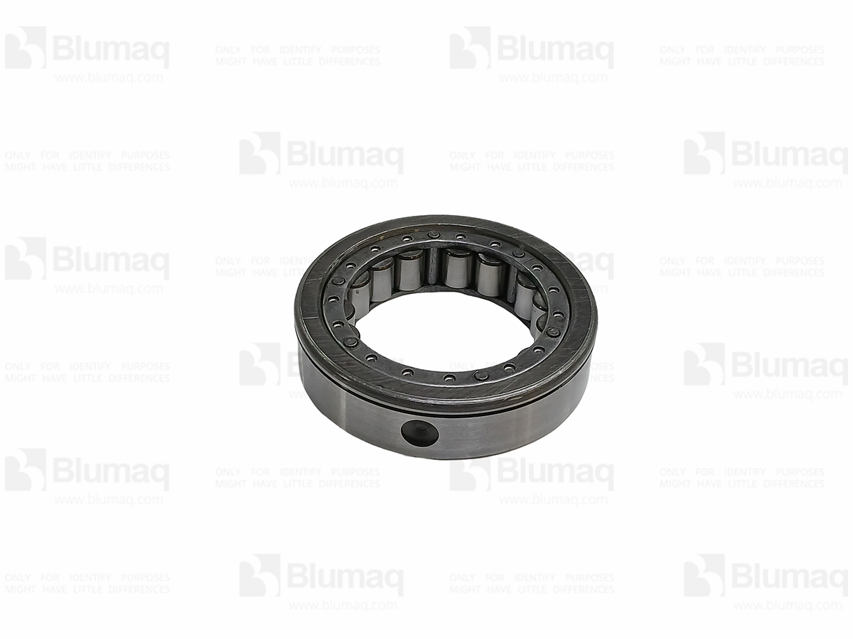 2L-0036 Bearing