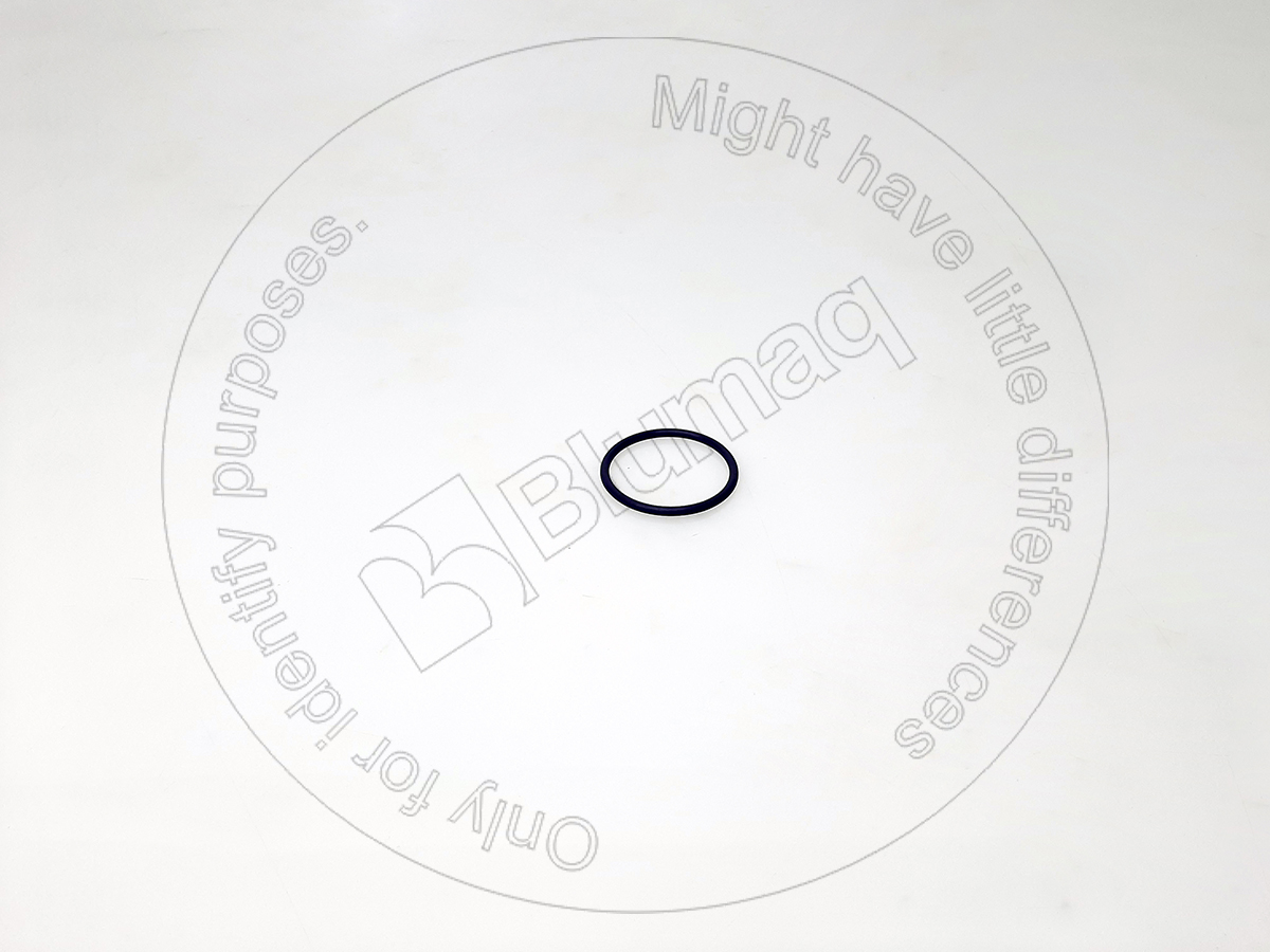 900.04108 Seal O-ring for BLUMAQ