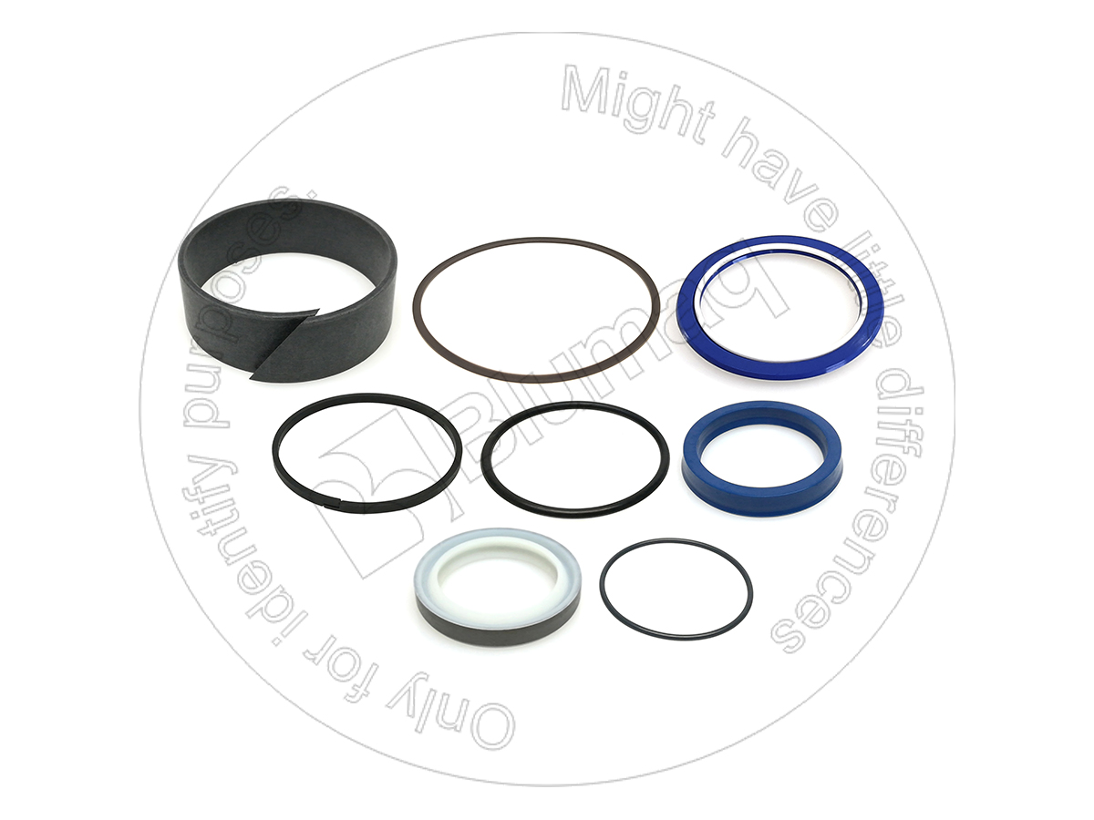 240-7308 Hydraulic Seal Kit for BLUMAQ