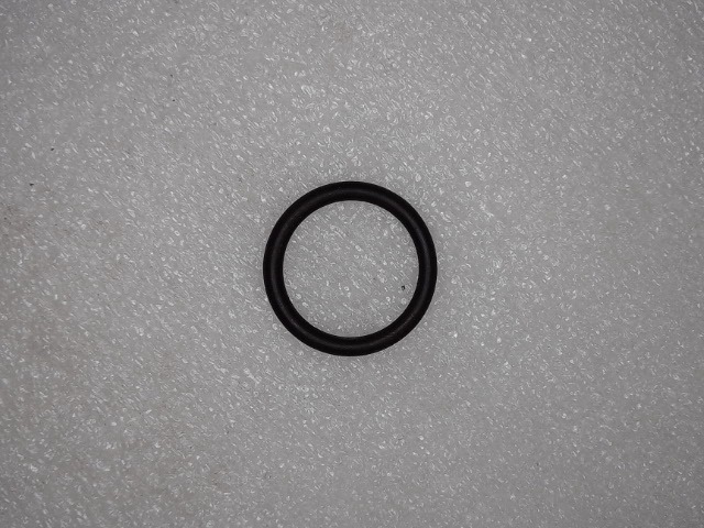 359251X1 O Ring for AGCO