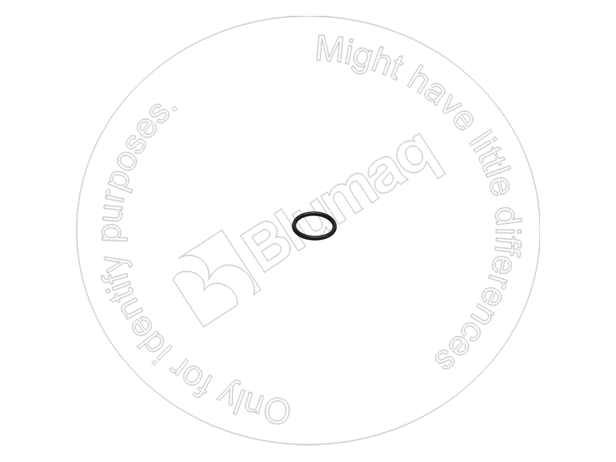 2M-9780 Seal O-ring for BLUMAQ