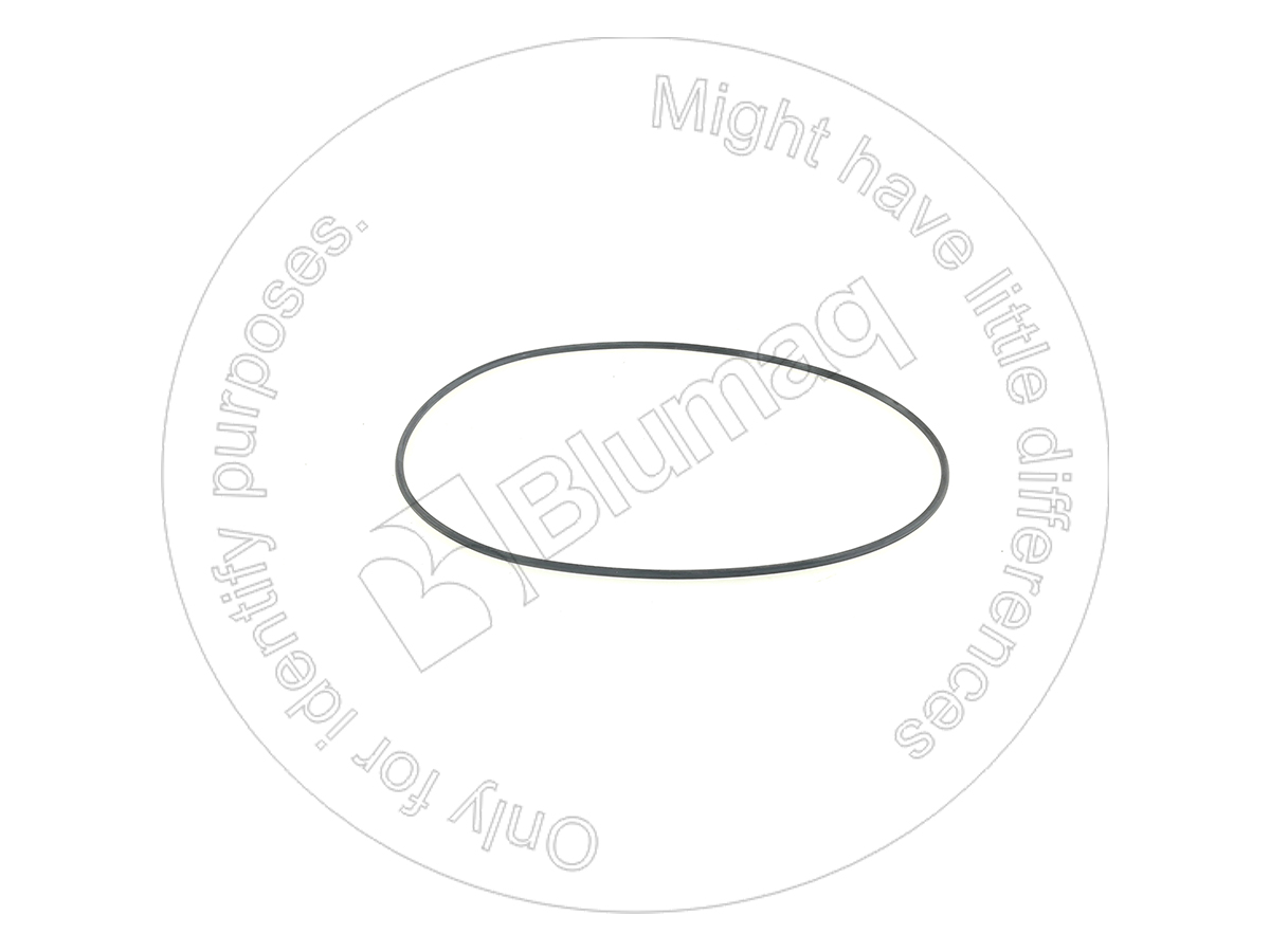 534-0839 Seal O-ring for BLUMAQ