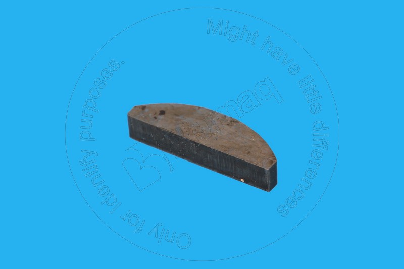 1B-8744 Key for BLUMAQ