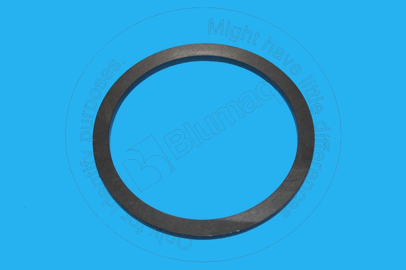 7G-4766 Ring for BLUMAQ