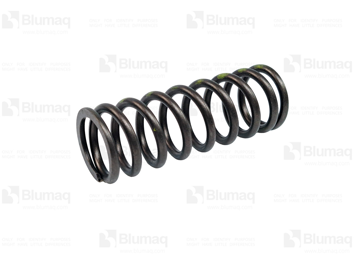 349-5307 Valve Spring for BLUMAQ