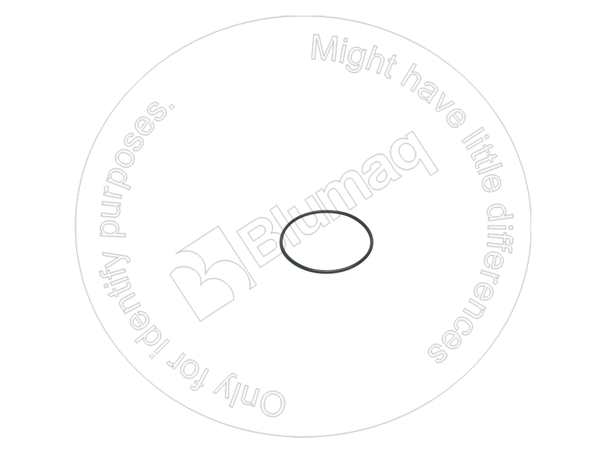 3P-1979 Seal O-ring