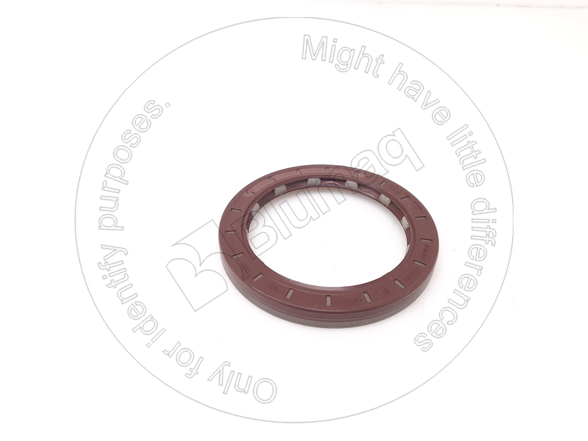 CS0734310445 Seal O-ring