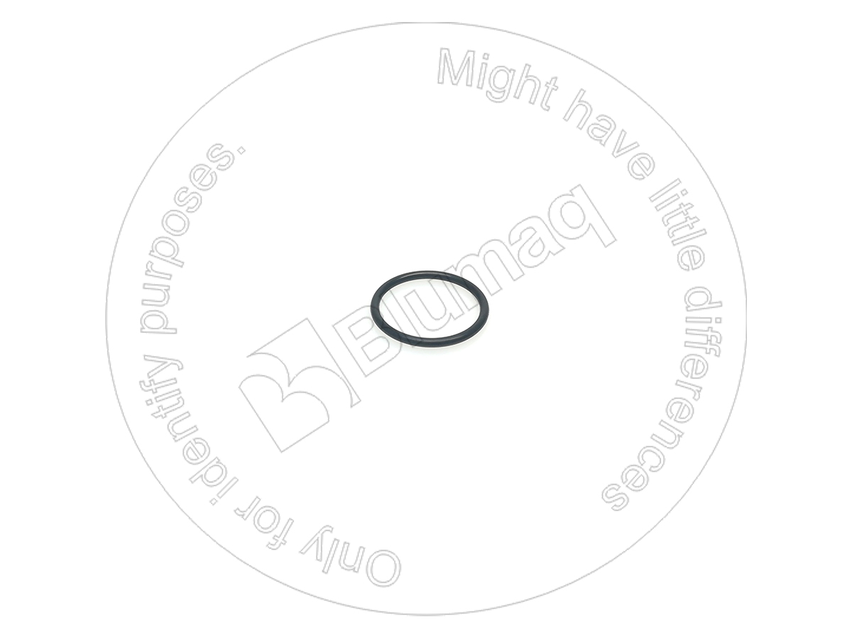 CS238-5222 Seal O-ring for BLUMAQ