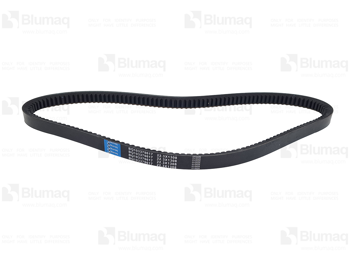 5H-9857 Belt for BLUMAQ