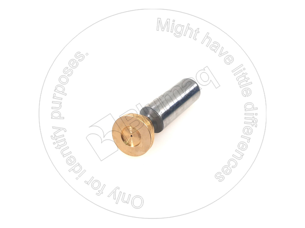 BE223248 Piston