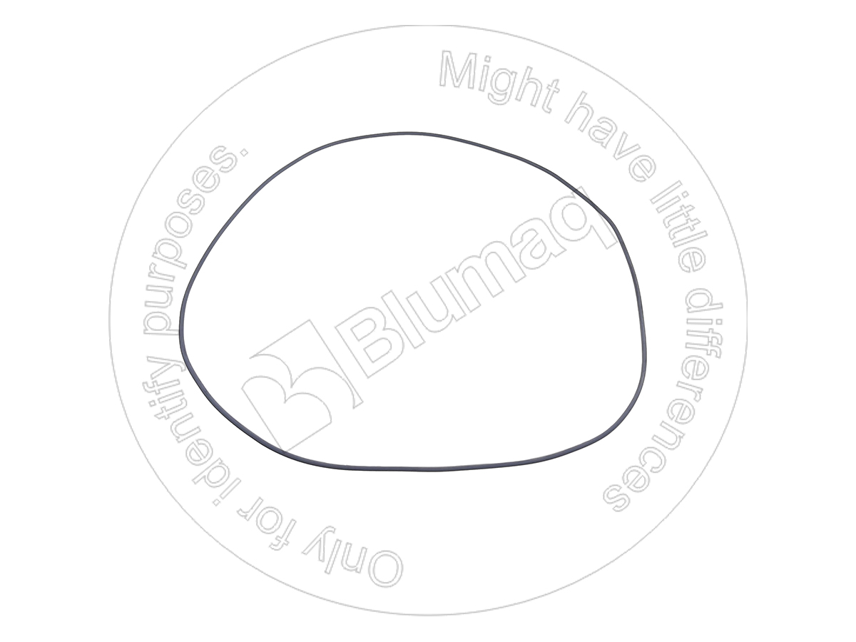 CS87743205 Seal O-ring