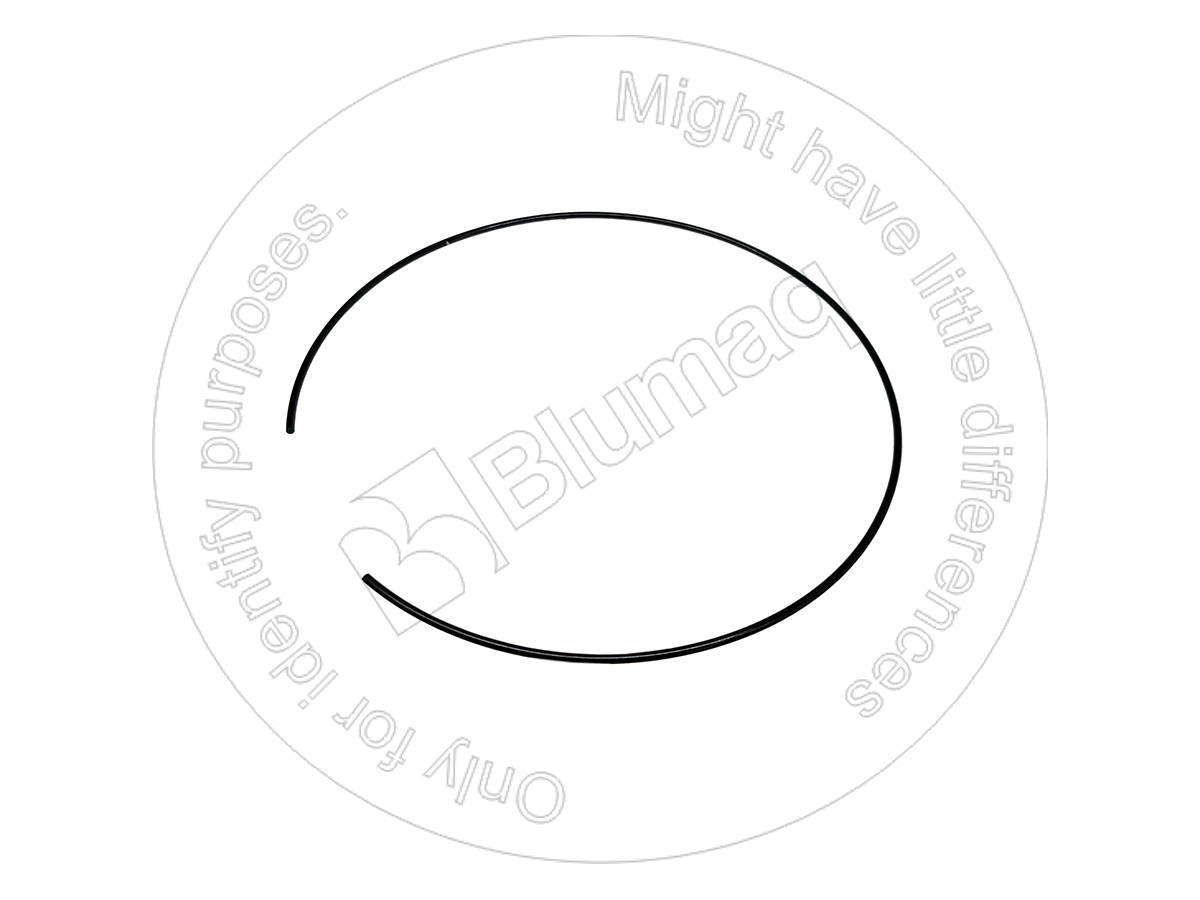 CS33742706 Lock Plate