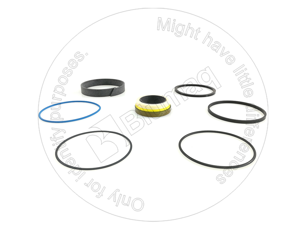 295-9891 Hydraulic Seal Kit for BLUMAQ