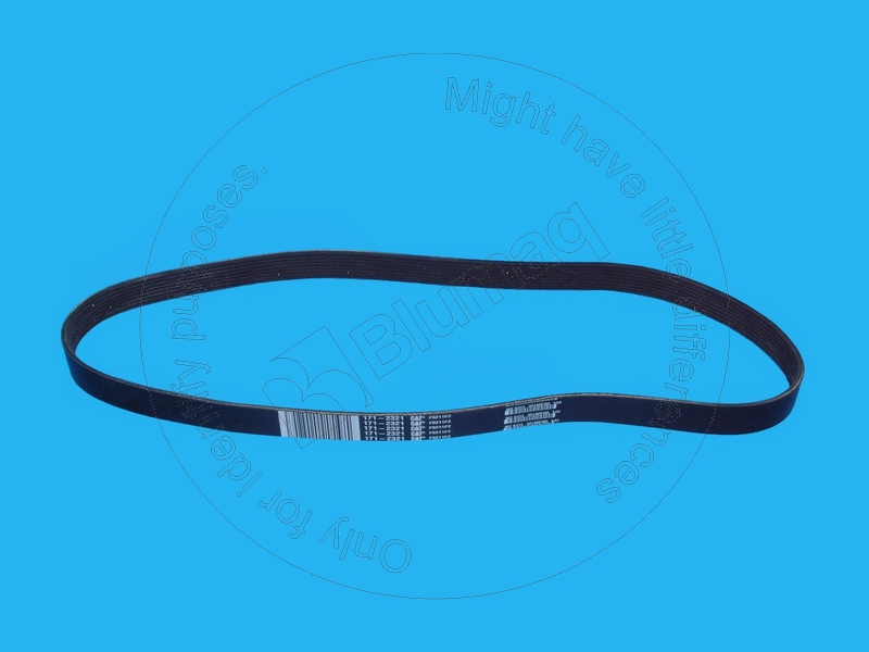 171-2321 Belt for BLUMAQ