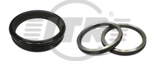 6T-8438 Seal Gp. Duo-cone for CATERPILLAR