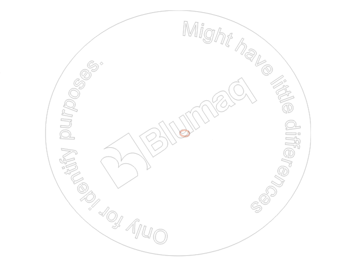 DZ4258912 Seal for BLUMAQ