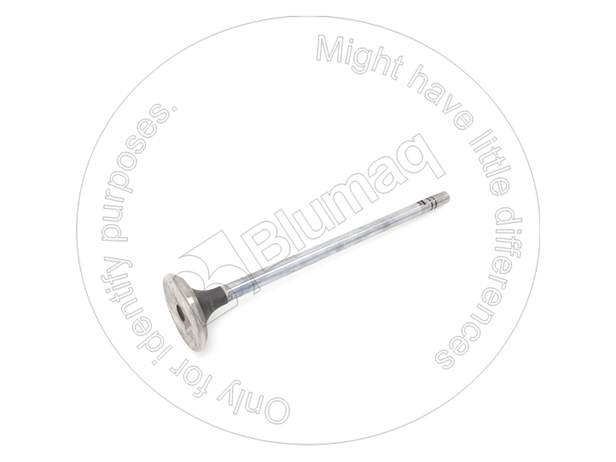 4907200 Valve-exhaust