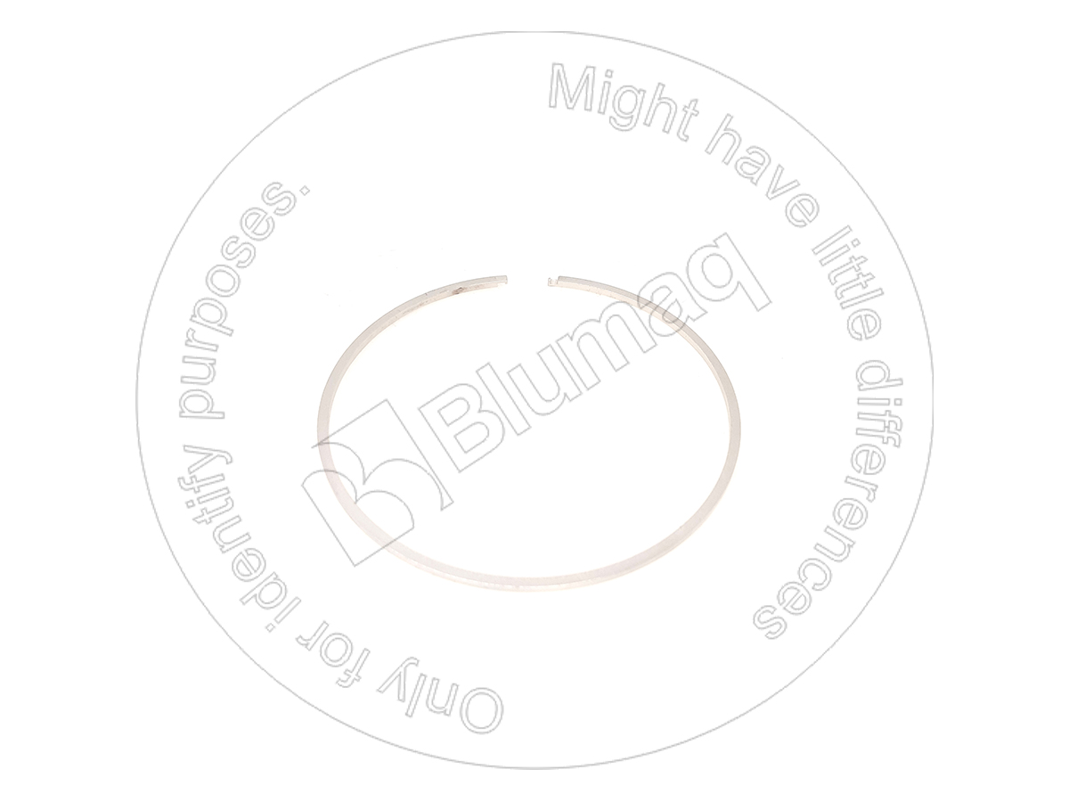 CS181157A2 Seal O-ring