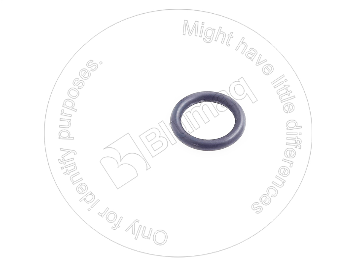 07002-32034 Seal O-ring for BLUMAQ