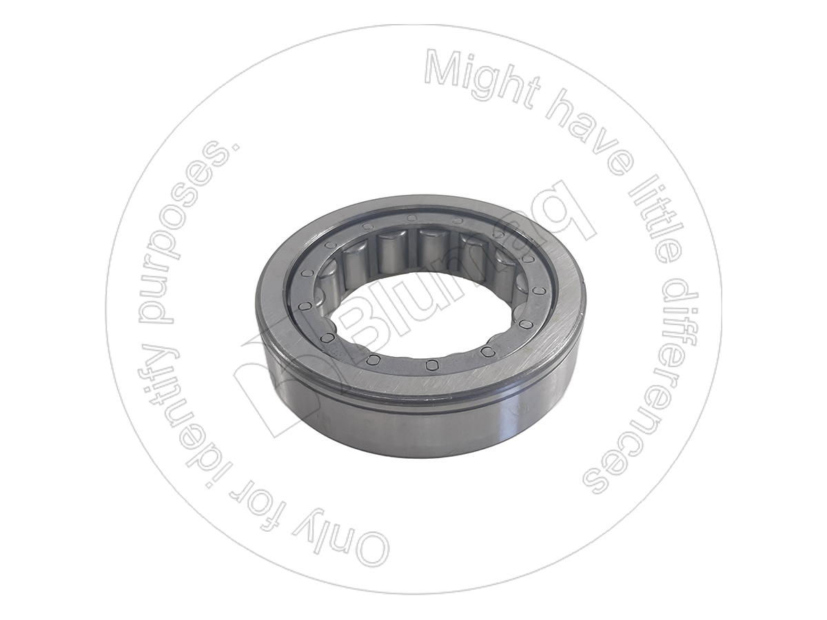 114-3391 Bearing for BLUMAQ