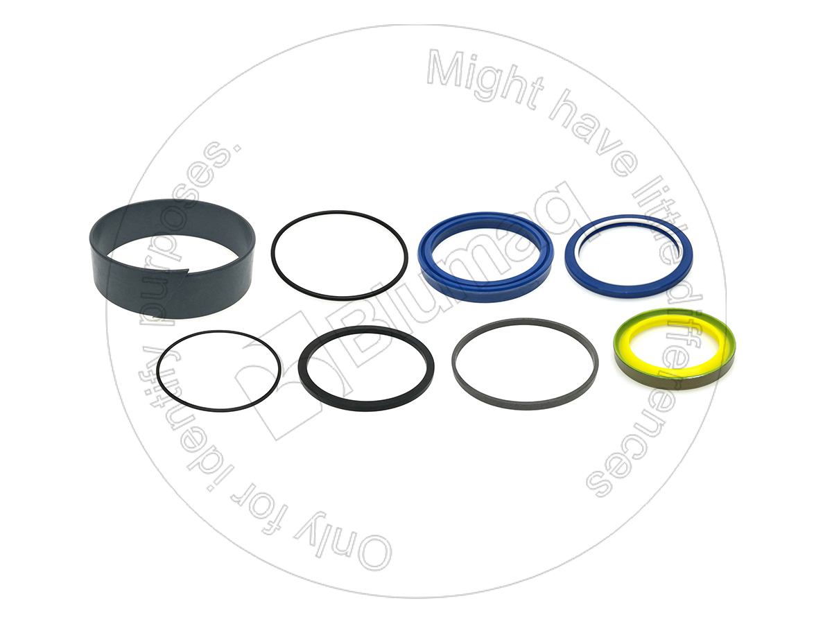 242-2546 Hydraulic Seal Kit for BLUMAQ