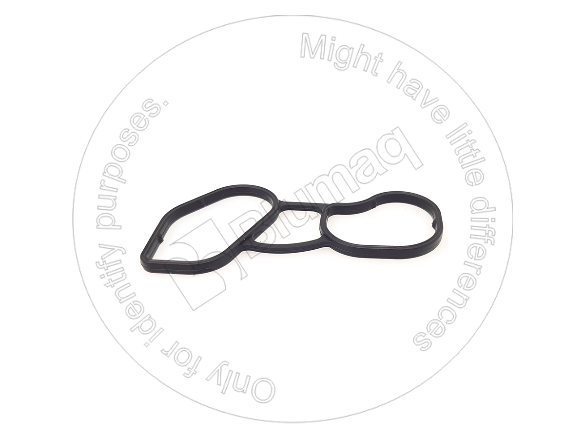 037.479 Gasket for BLUMAQ