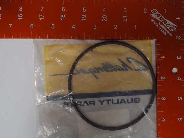 CH190-6069 Ring for AGCO