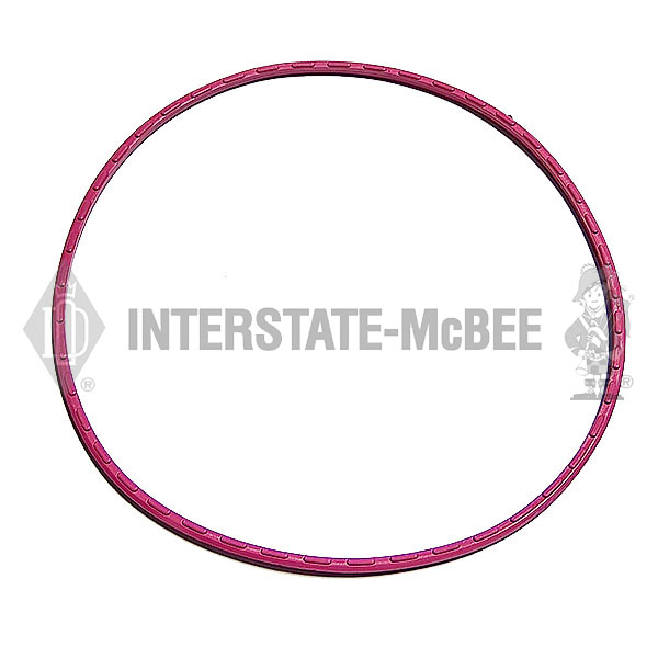 A-23528491 Seal Ring - Cam Thrust Plate