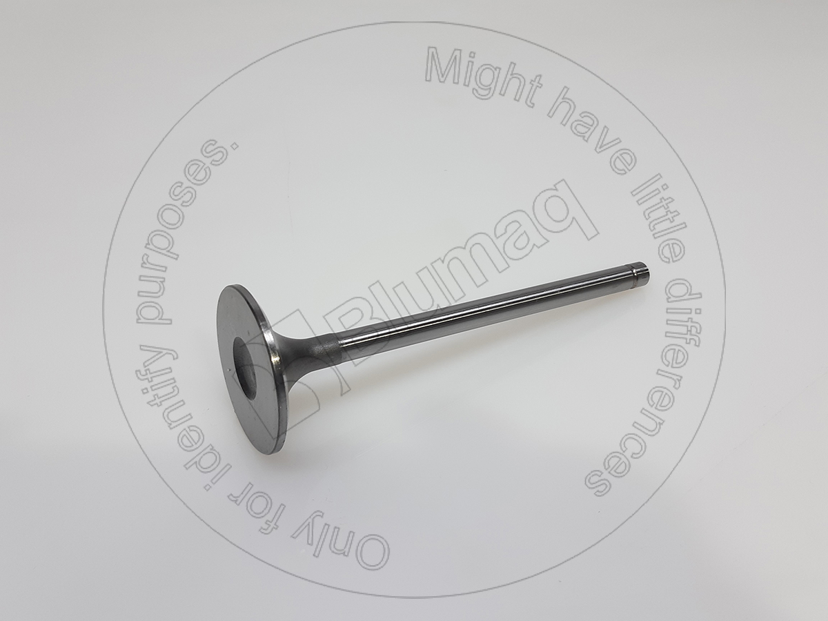 6136-42-4110 Intake Valve
