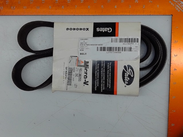 AG130255 Belt