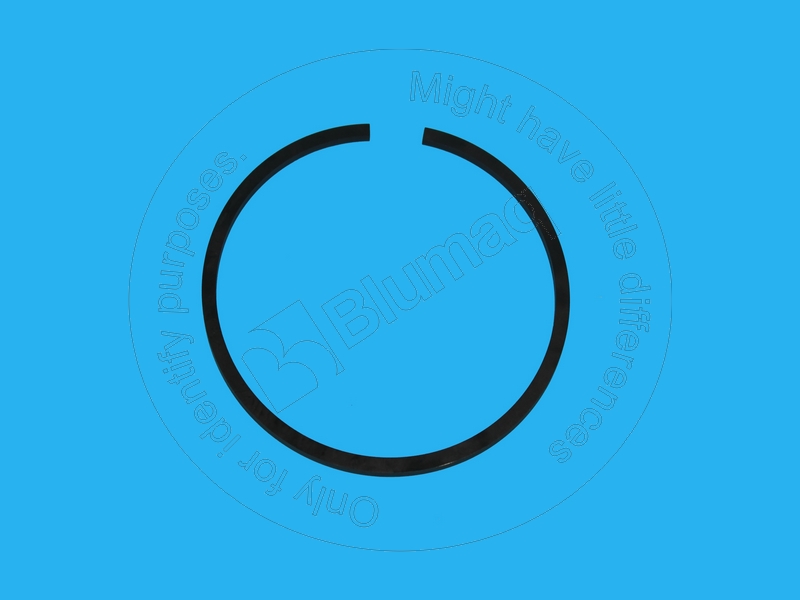 2S-5301 Segment for BLUMAQ