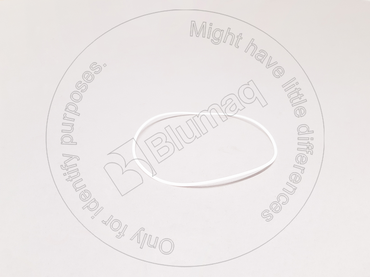 0714602135 Back-up Ring