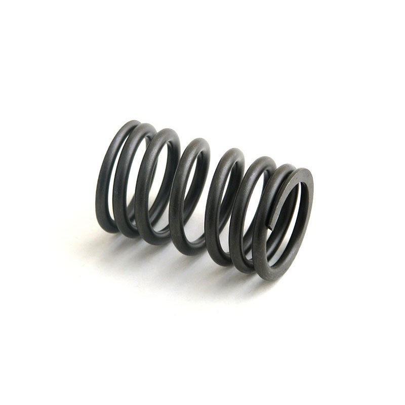 7160908 Valve Spring for RELIANCE POWER