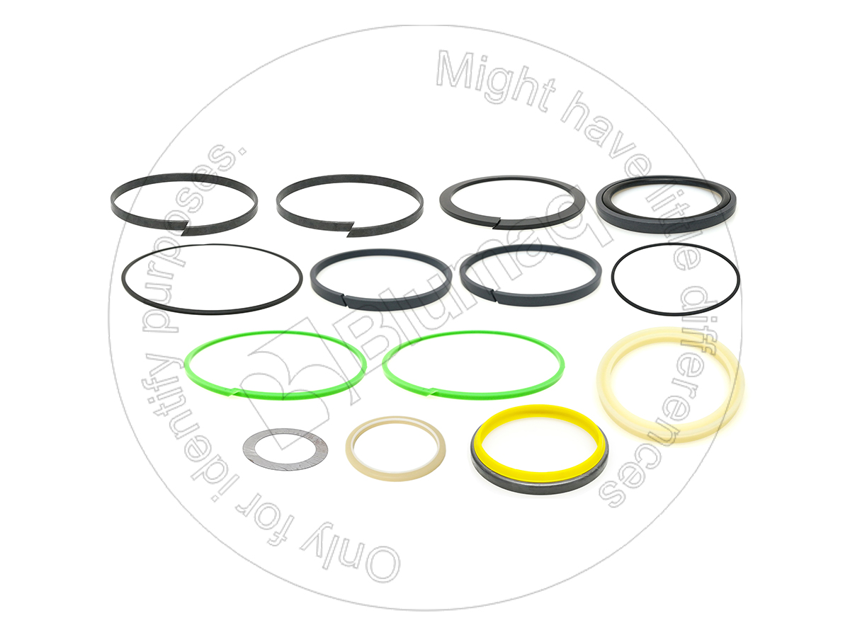 204-3697 Seal Kit