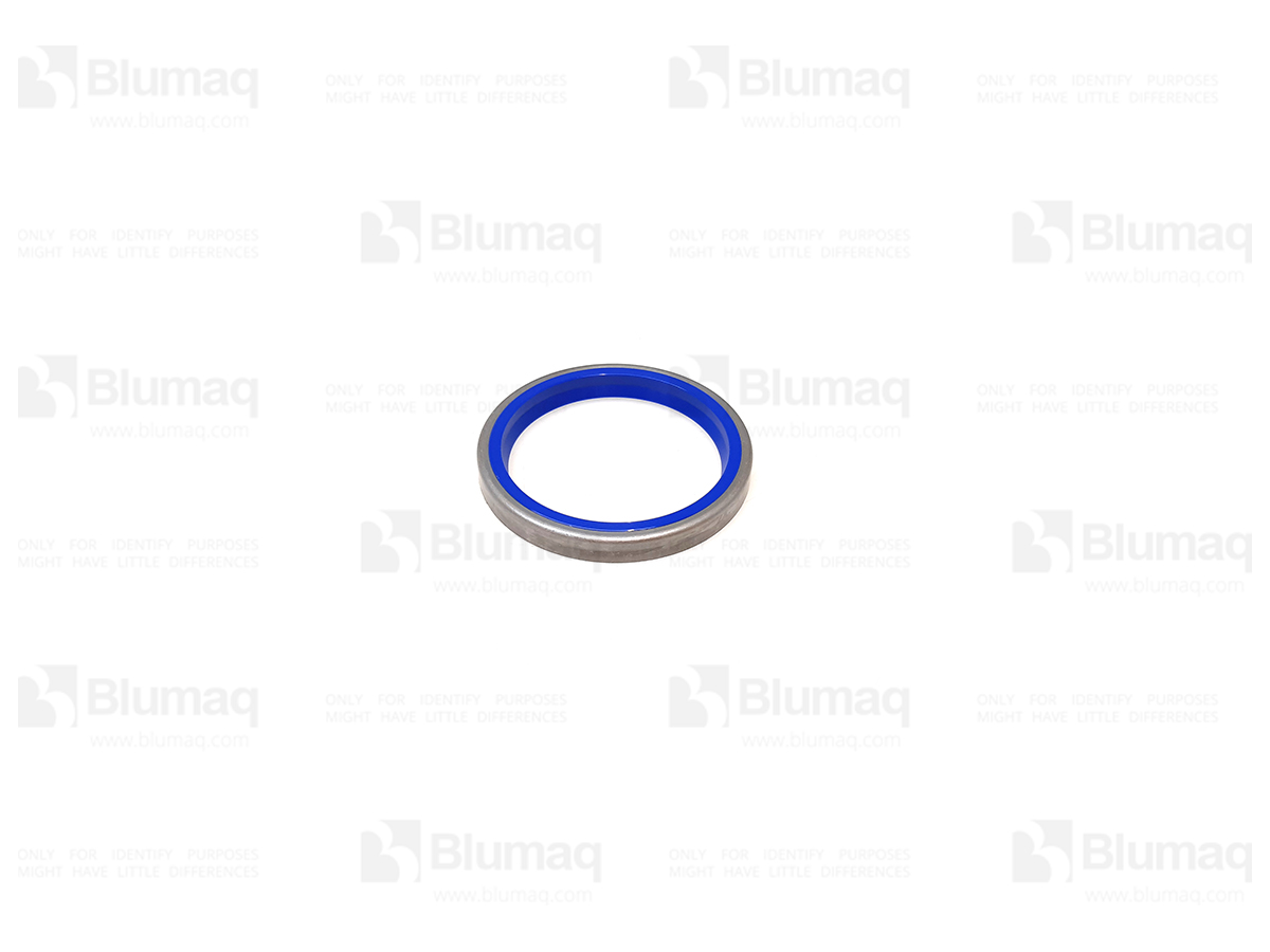 166-1492 Seal for BLUMAQ