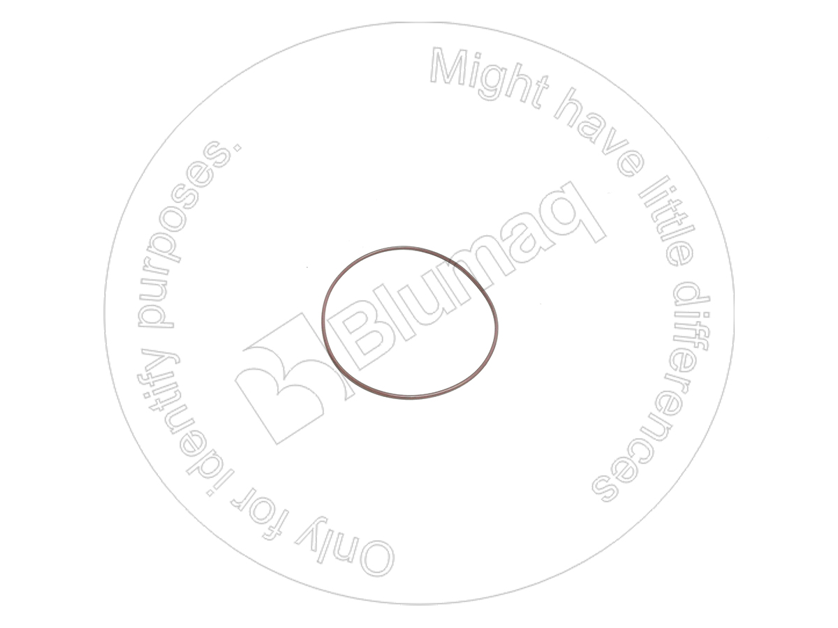 CS238-6158 Seal O-ring for BLUMAQ