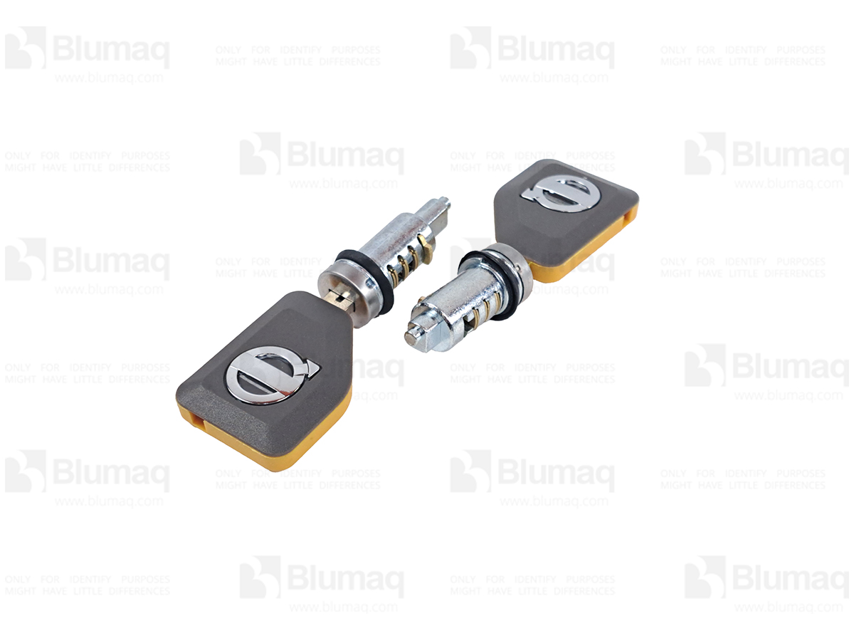 VOE16314622 Ignition Key for VOLVO