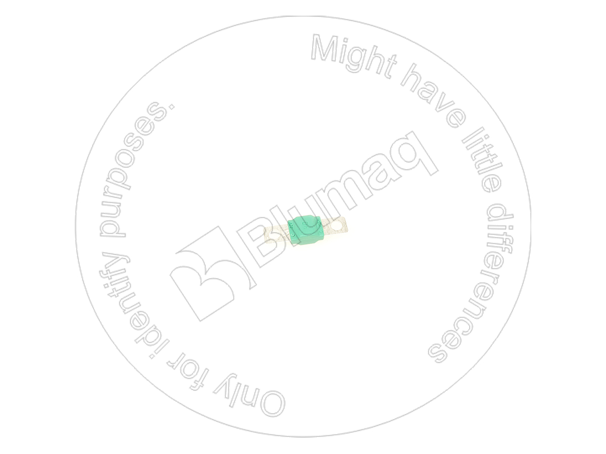096.3745 Fuse for BLUMAQ
