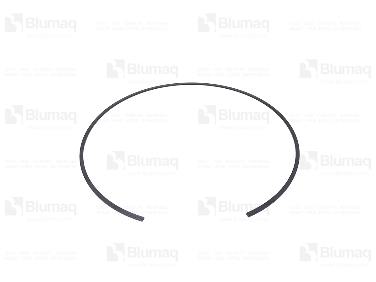 456-7041 Ring for BLUMAQ