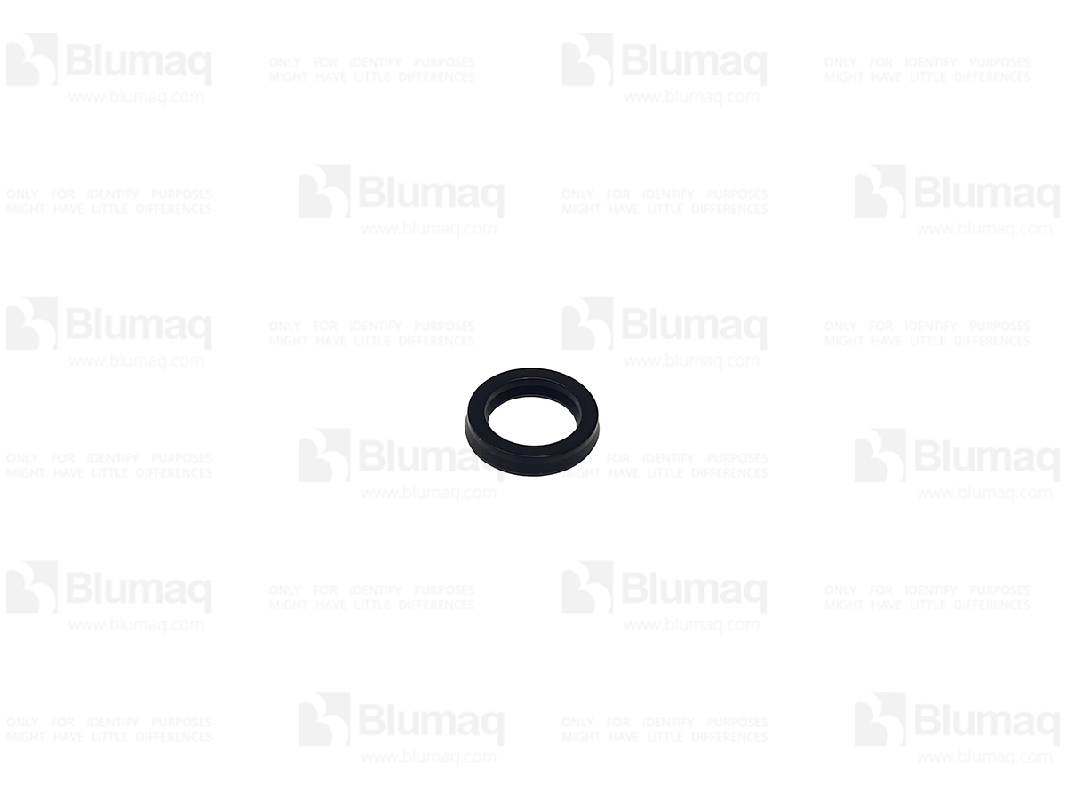 VO8230-20110 Seal for BLUMAQ