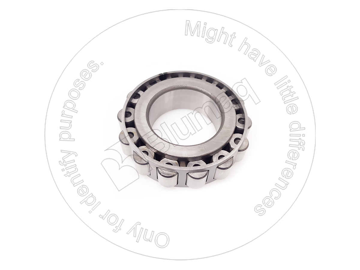 1P-0623 Bearing for BLUMAQ